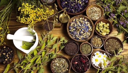 ۱۲۰ استاندارد ملی برای گیاهان دارویی به ثبت رسید
