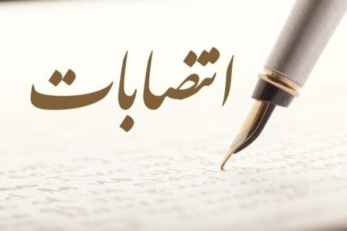 رئیس مرکز شرکت ها و مؤسسات دانش بنیان معاونت علمی منصوب شد