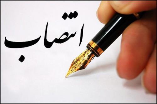 سرپرست دفتر توسعه فناوری سلامت وزارت بهداشت منصوب گردید