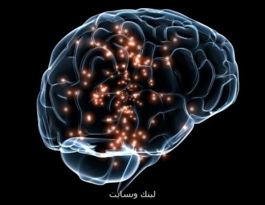 ابداع ماده ای که از مغز تقلید می کند