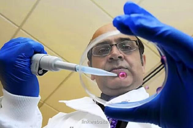 امید به توسعه درمان های نوین به پشت گرمی سلول های بنیادی