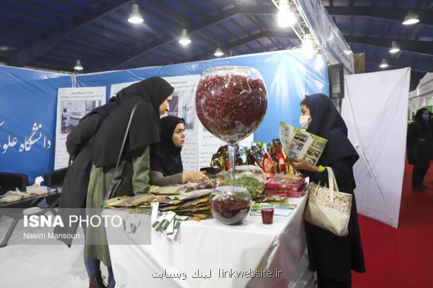 بانوان فناور تسهیلات ۵۰۰۰ میلیون ریالی دریافت می کنند