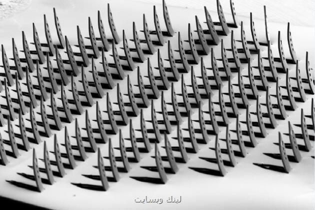 کاوشگرهای سه بعدی که مسافران آینده مغز انسان هستند