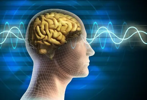 خواندن سیگنال های پنهان مغز با تکنولوژی جدید محقق ایرانی