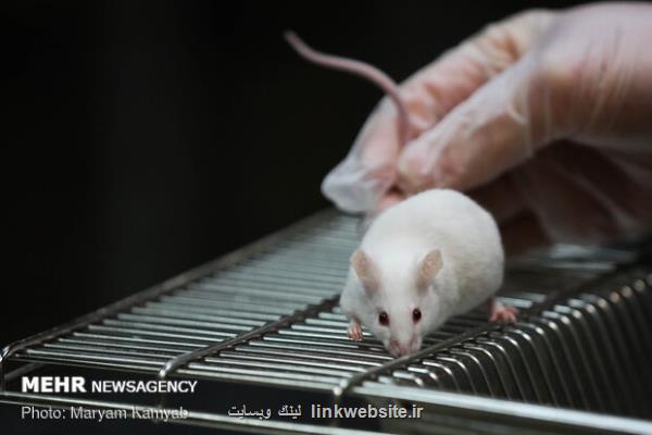 پنجمین سمینار ملی فناوری های جایگزین حیوانات آزمایشگاهی