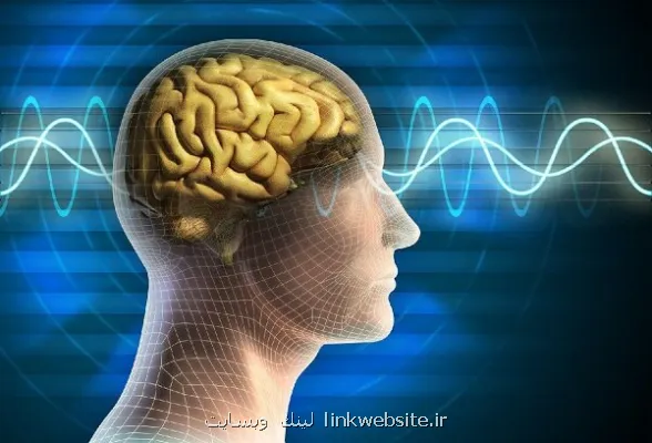 خواندن سیگنال های پنهان مغز با تکنولوژی جدید محقق ایرانی