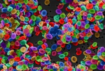 صادرات نانومحصولات ایرانی به قطر