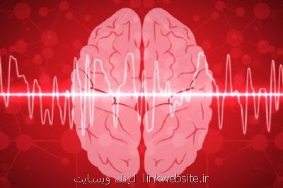 همایش ملی هوش مصنوعی در تصویر برداری پزشكی برگزار می گردد