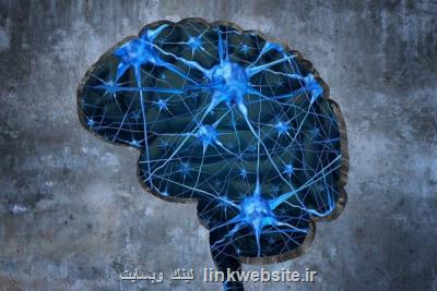 اپلیكیشن جلوگیری از آلزایمر سالمندان رونمایی می شود