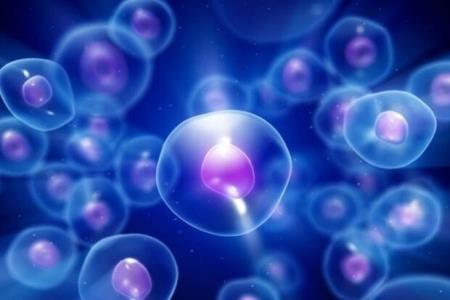 انعقاد قرارداد پژوهش سراهای دانش آموزی سلول بنیادی