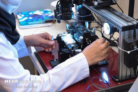 واكنش وزارت علوم به كاهش معافیتهای مالیاتی شركتهای فناور