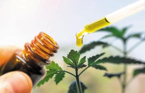 رویداد استارت آپی فرآورده های گیاهی و طبیعی
