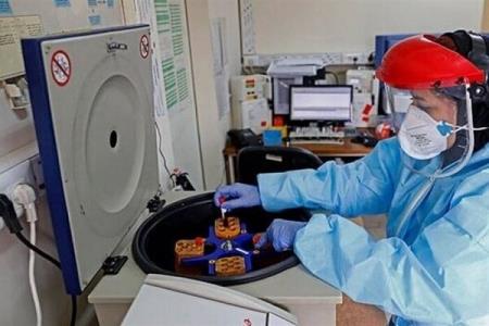 موفقیت آزمایش حیوانی نانوواكسن ضدكرونا