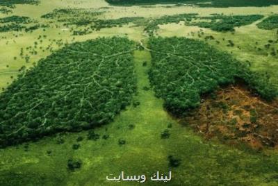 تنش آبی پوشش گیاهی كشور كاهش پیدا كرد