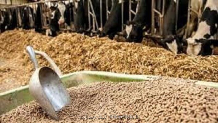 خیز دانش بنیان ها برای تأمین نهاده های دامی